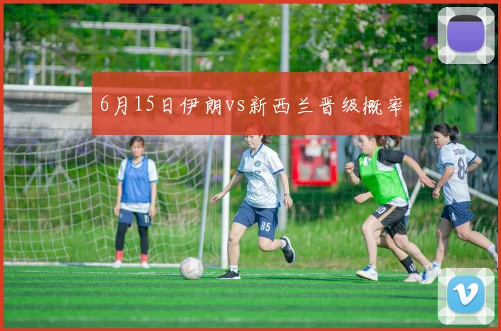 6月15日伊朗vs新西兰晋级概率