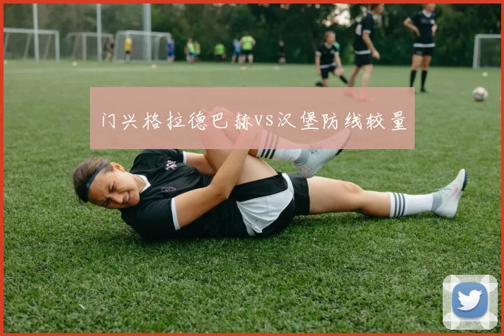 门兴格拉德巴赫vs汉堡防线较量
