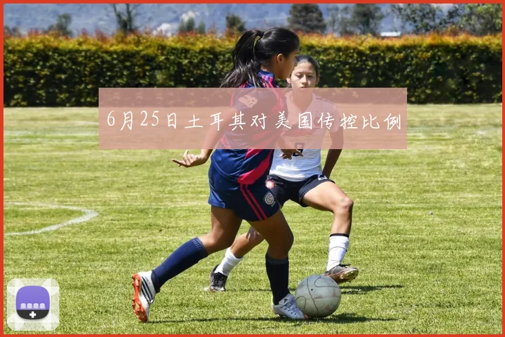 6月25日土耳其对美国传控比例