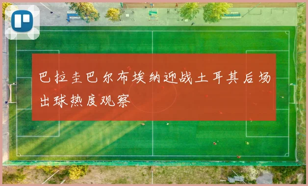 巴拉圭巴尔布埃纳迎战土耳其后场出球热度观察