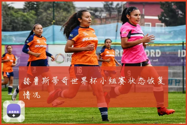 赫鲁斯蒂奇世界杯小组赛状态恢复情况
