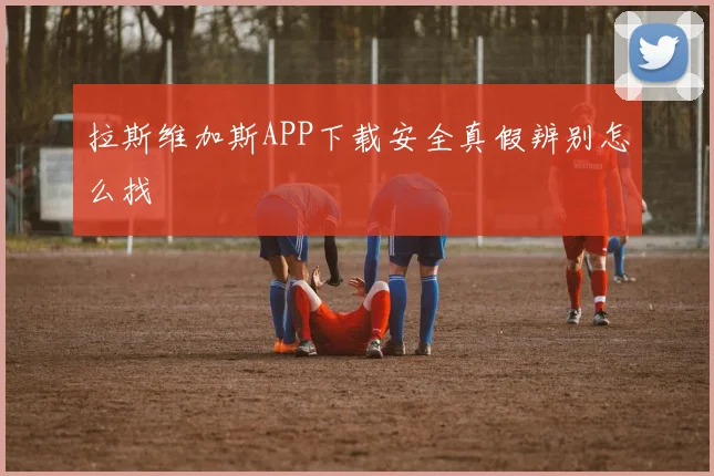 拉斯维加斯APP下载安全真假辨别怎么找